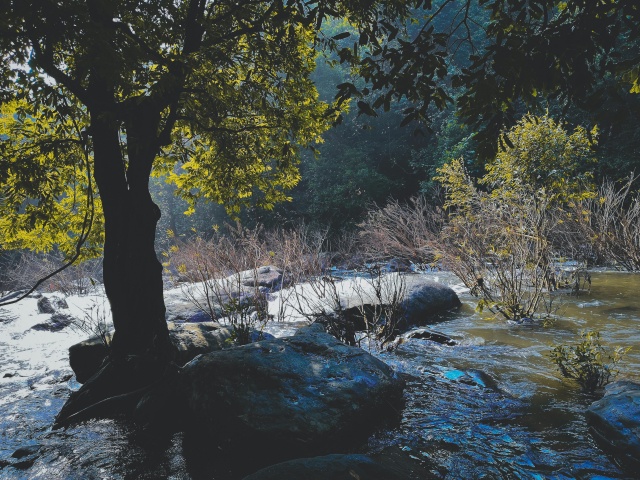 Natuurdocumentaire