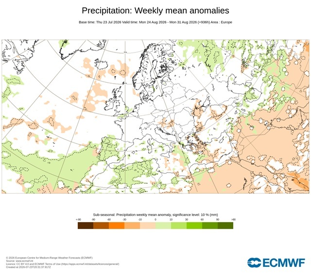 ECMWF neerslagafwijking week 4