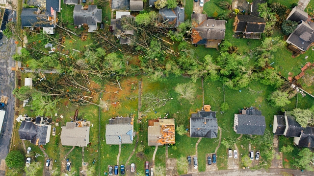 Stormschade analyse